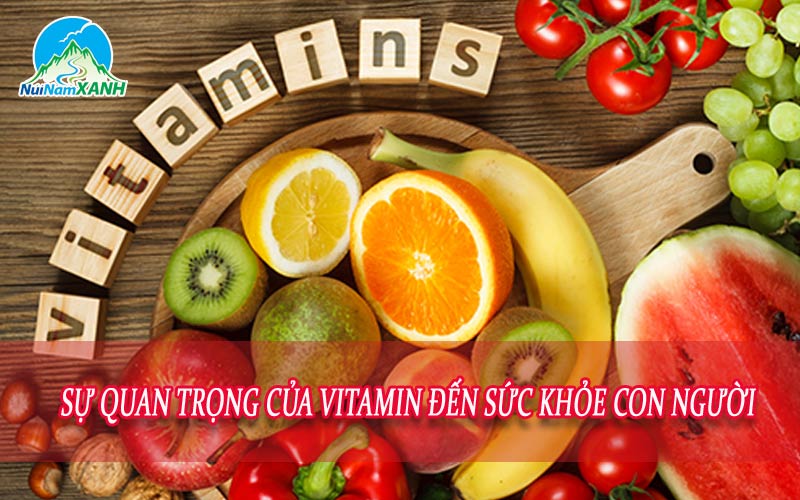 Sự quan trọng của Vitamin